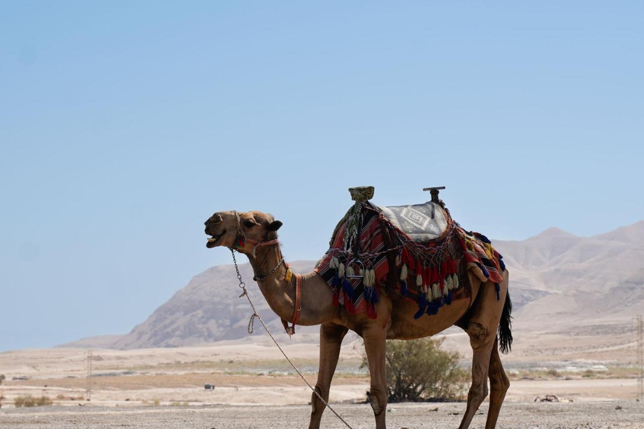 Selina Mantur Almog Dead Sea Hotel Exterior foto